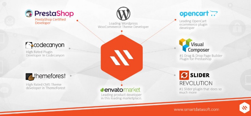 A certified web agency SmartDataSoft
